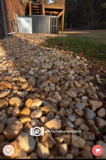 Pine Forest Zen Cottage - 10 Min To Fort Bragg Fayetteville Exterior foto